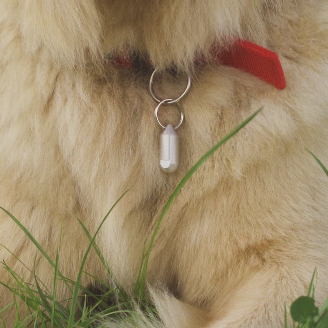 Grande Paws Pendant